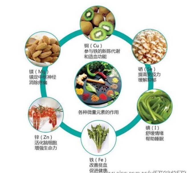 全自动正在播放麻豆分析头发检测的结果