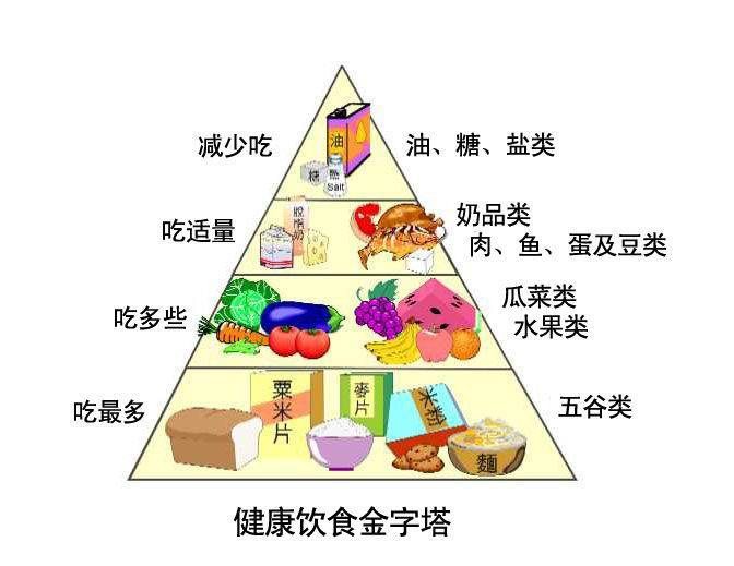 医用正在播放麻豆的原理与结构 