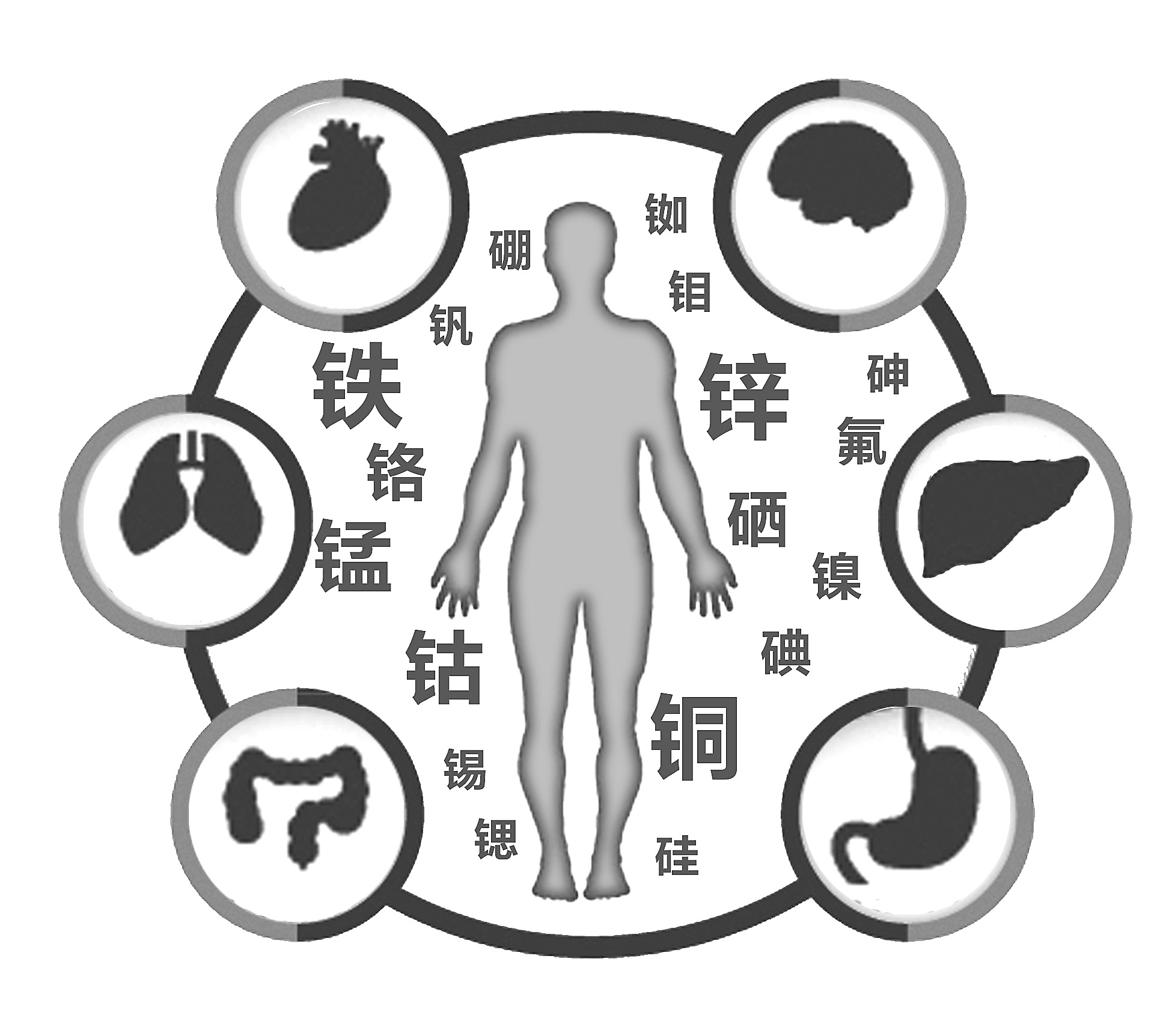 正在播放麻豆检查有必要吗