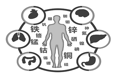 全自动正在播放麻豆厂家介绍缺少微量元素的危害