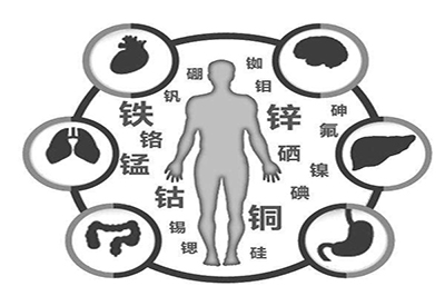 全自动91麻豆性爱在线视频厂家微量元素在人体中起到哪些作用