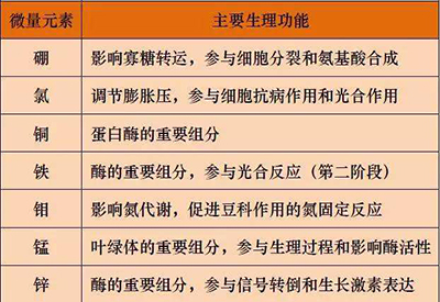 全自动91麻豆性爱在线视频厂家微量元素的对人体的生理作用